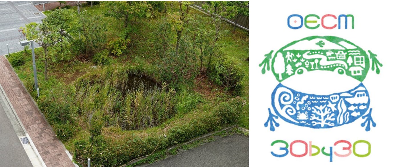 「とんぼ池」を含む「横浜・京浜の森」が、OECM※1として国際データベースに登録