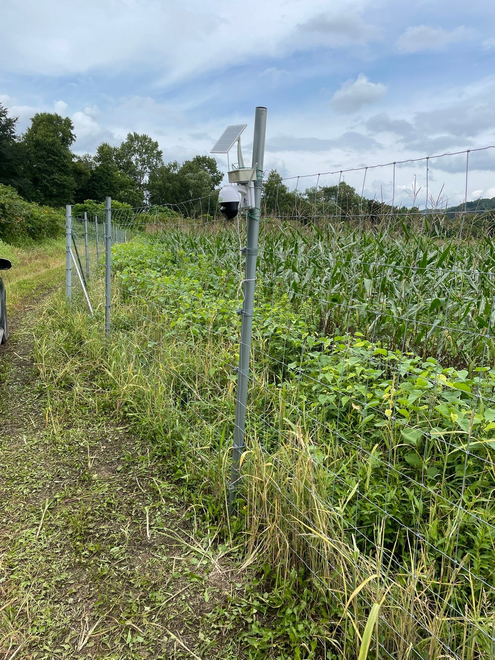 月額3,850円〜、10分で導入可能！電源不要なAIカメラでクマ被害を未然に防ぐ自治体向けシステム「クマミるAI」をリリース