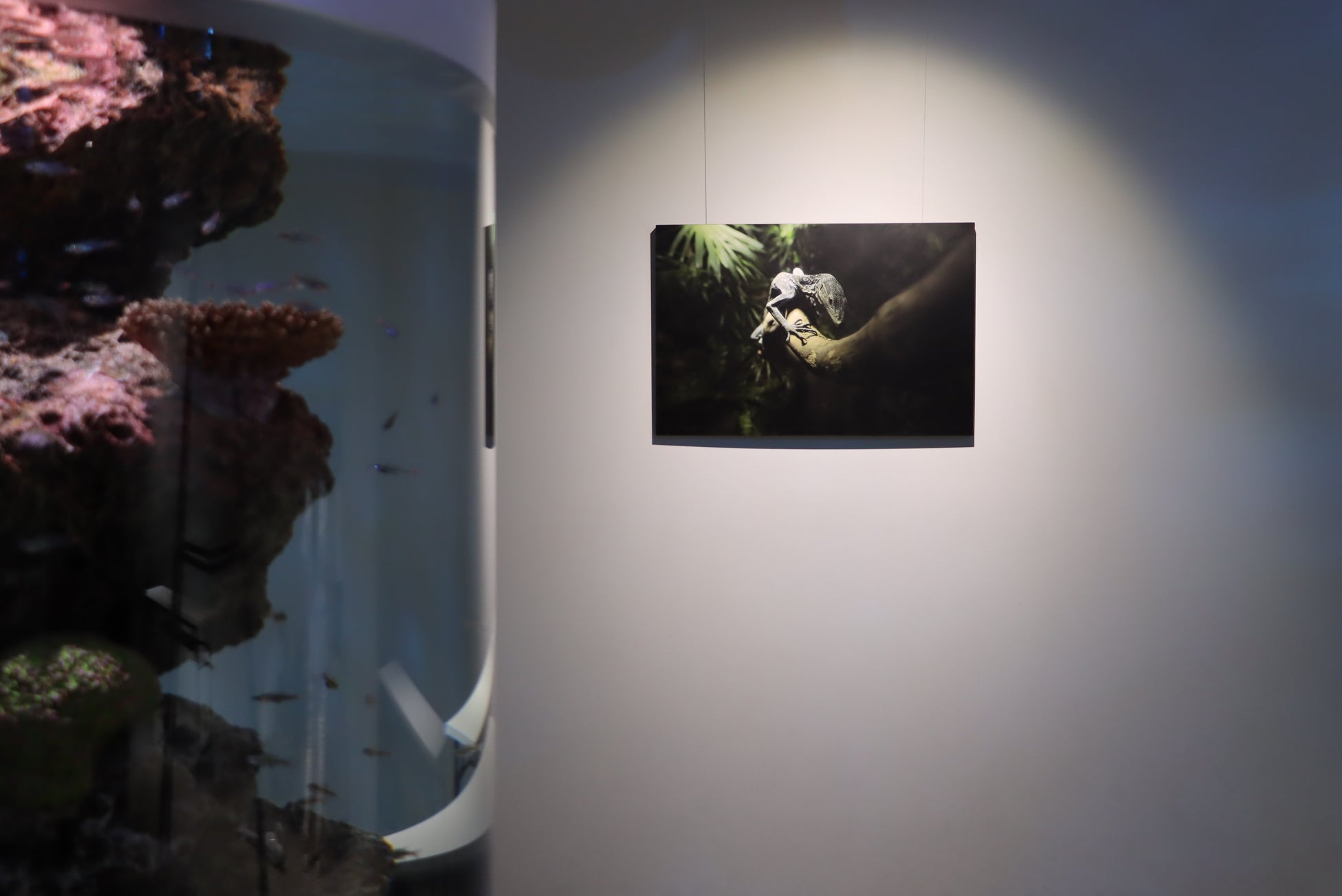 「ご泡火炊き」シリーズ、累計出荷台数100万台を突破!「タイガー炊きたてキャンペーン」を開催。京都の料亭「祇園丸山」の厳選お取り寄せを、抽選で200名様にプレゼント!