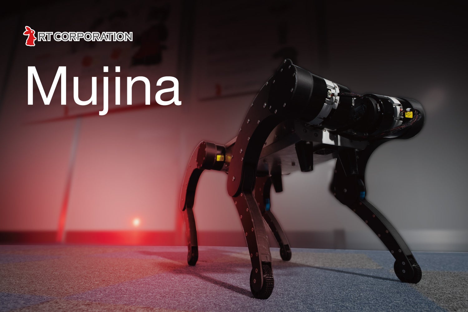 ASUS、デュアルファン、ホワイトモデルのビデオカード2モデル「DUAL-RTX5060TI-O8G-WHITE」および「DUAL-RTX5060-O8G-WHITE」を発表