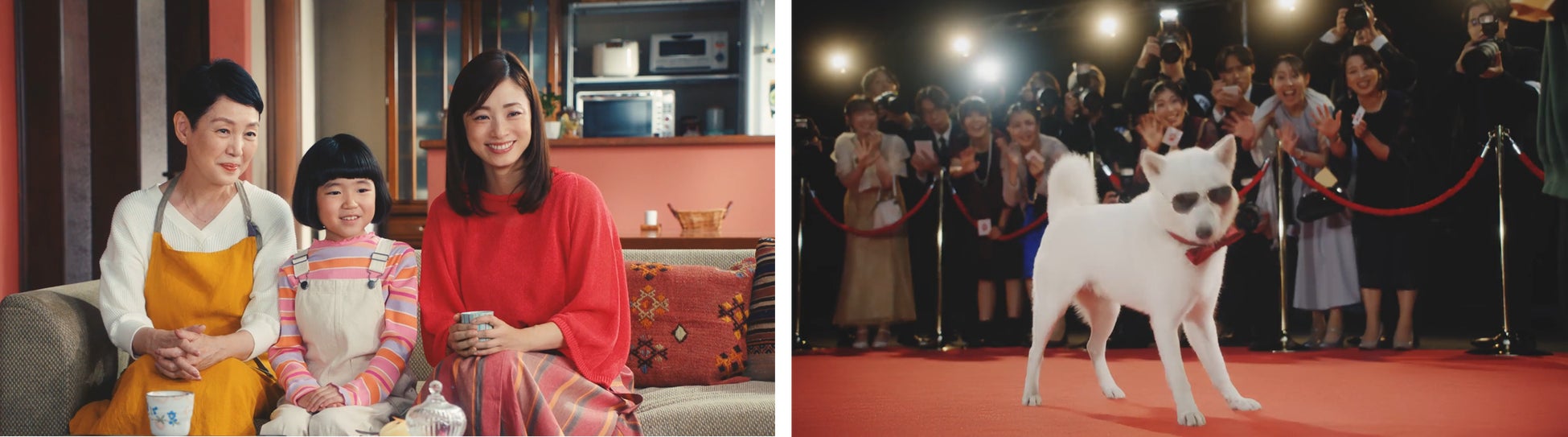 「SG-image AF 25mm F1.8」各種最新ファームウェア公開のお知らせ