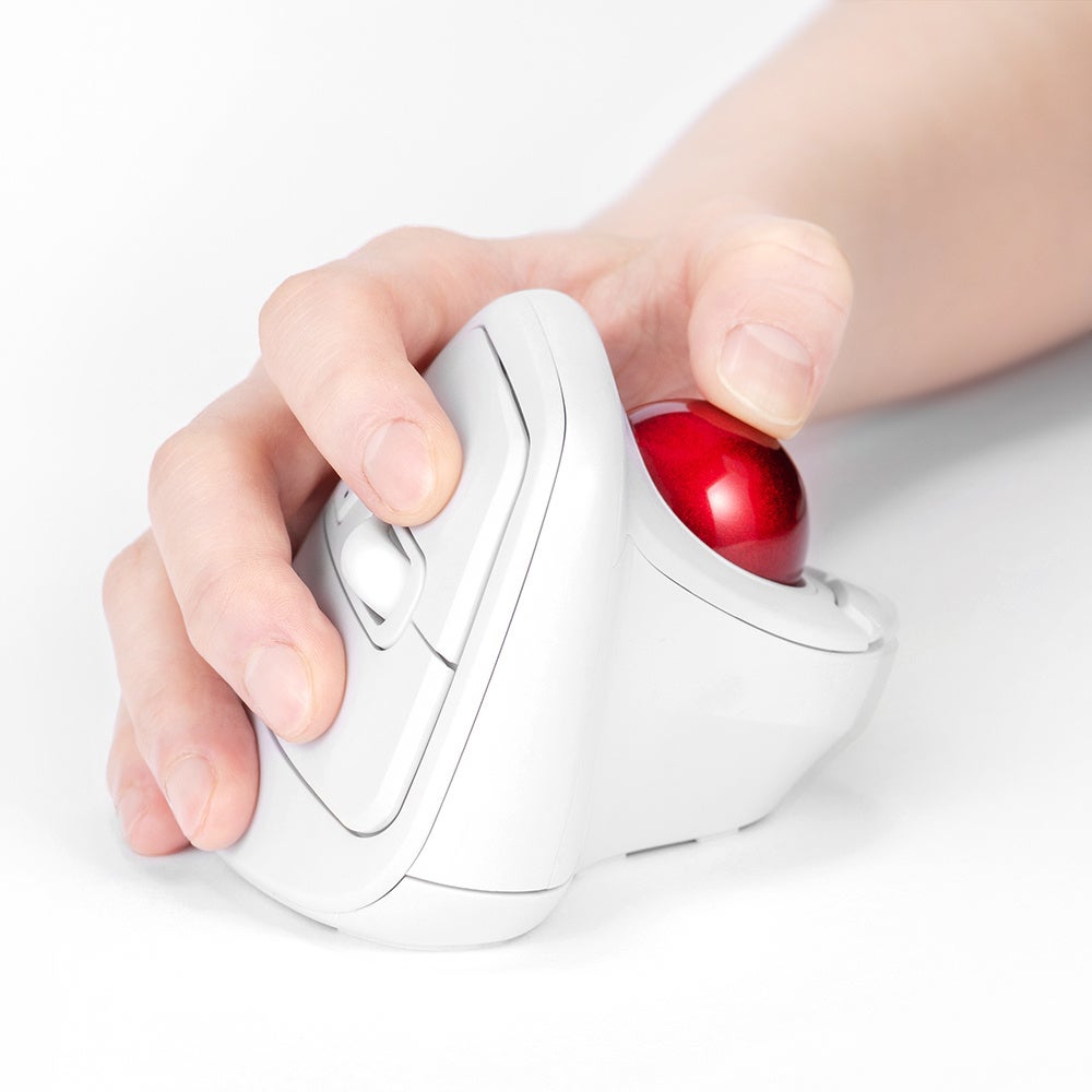 PIXTA、機械学習用「熊画像データセット」販売開始