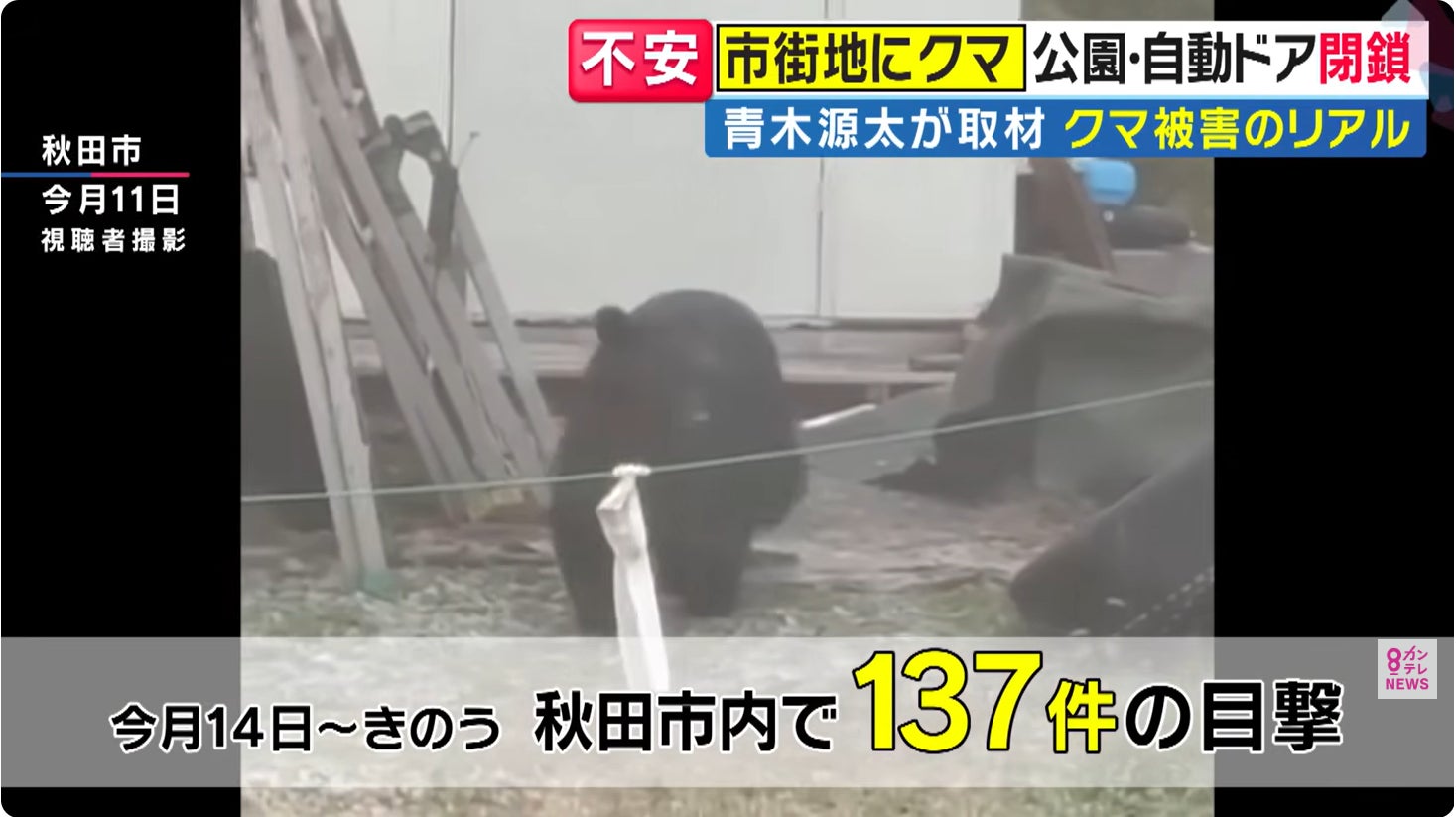 [Bowers & Wilkins イベント情報] ISETAN SALONEにて実施中の期間限定ポップアップストアにフラッグシップスピーカー「801 D4」が登場