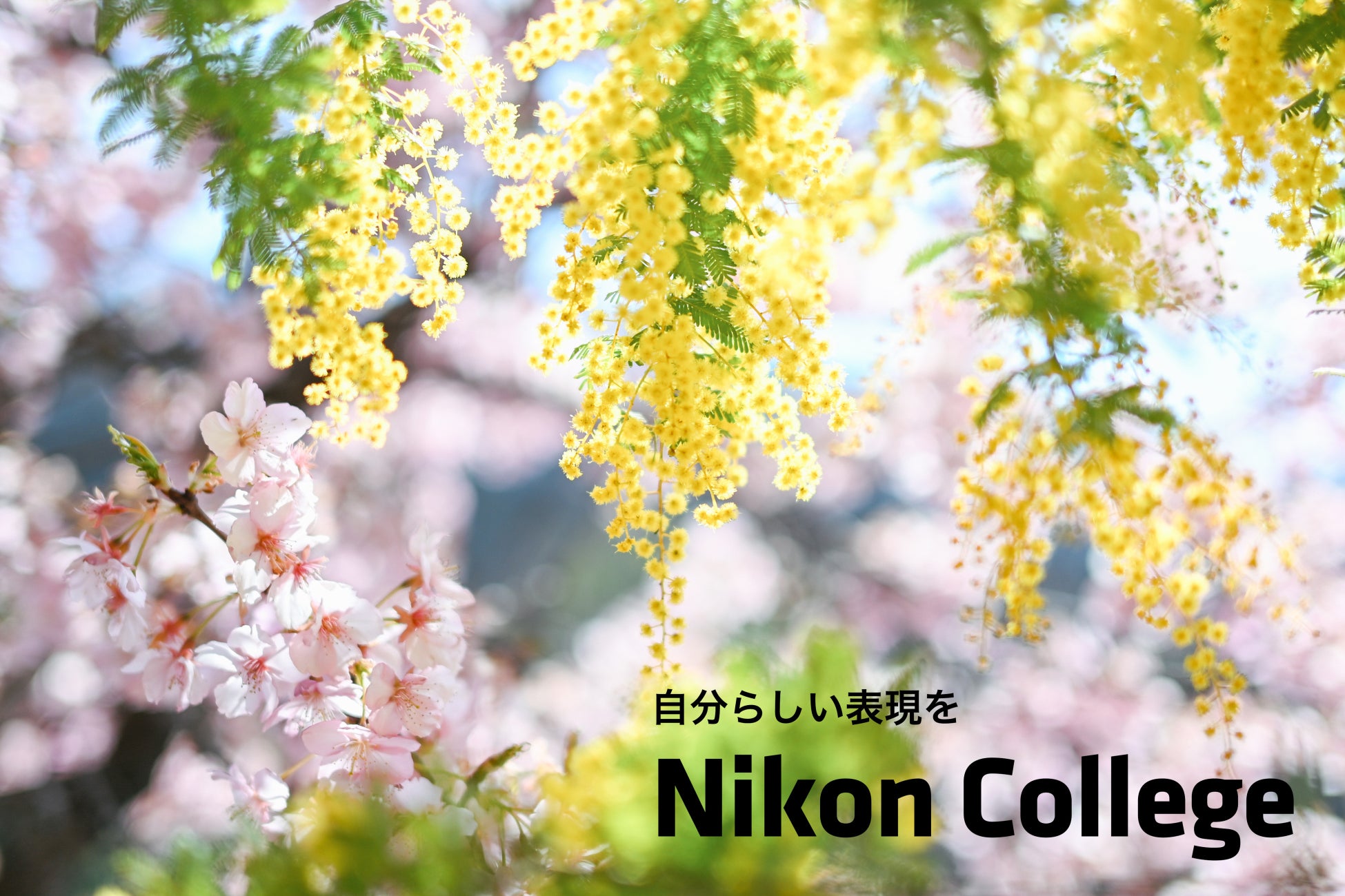 写真教室「ニコン カレッジ」 2026年1月～3月期の講座を公開