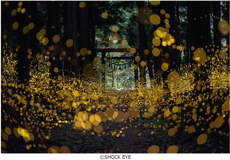 フジフイルム スクエア 企画写真展　SHOCK EYE写真展「和景讃歌」