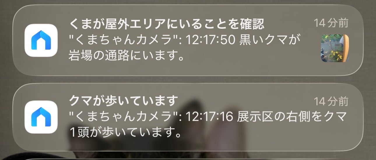 TP-Link、AIアシスタント「Tapo AI」を日本市場へ導入準備開始