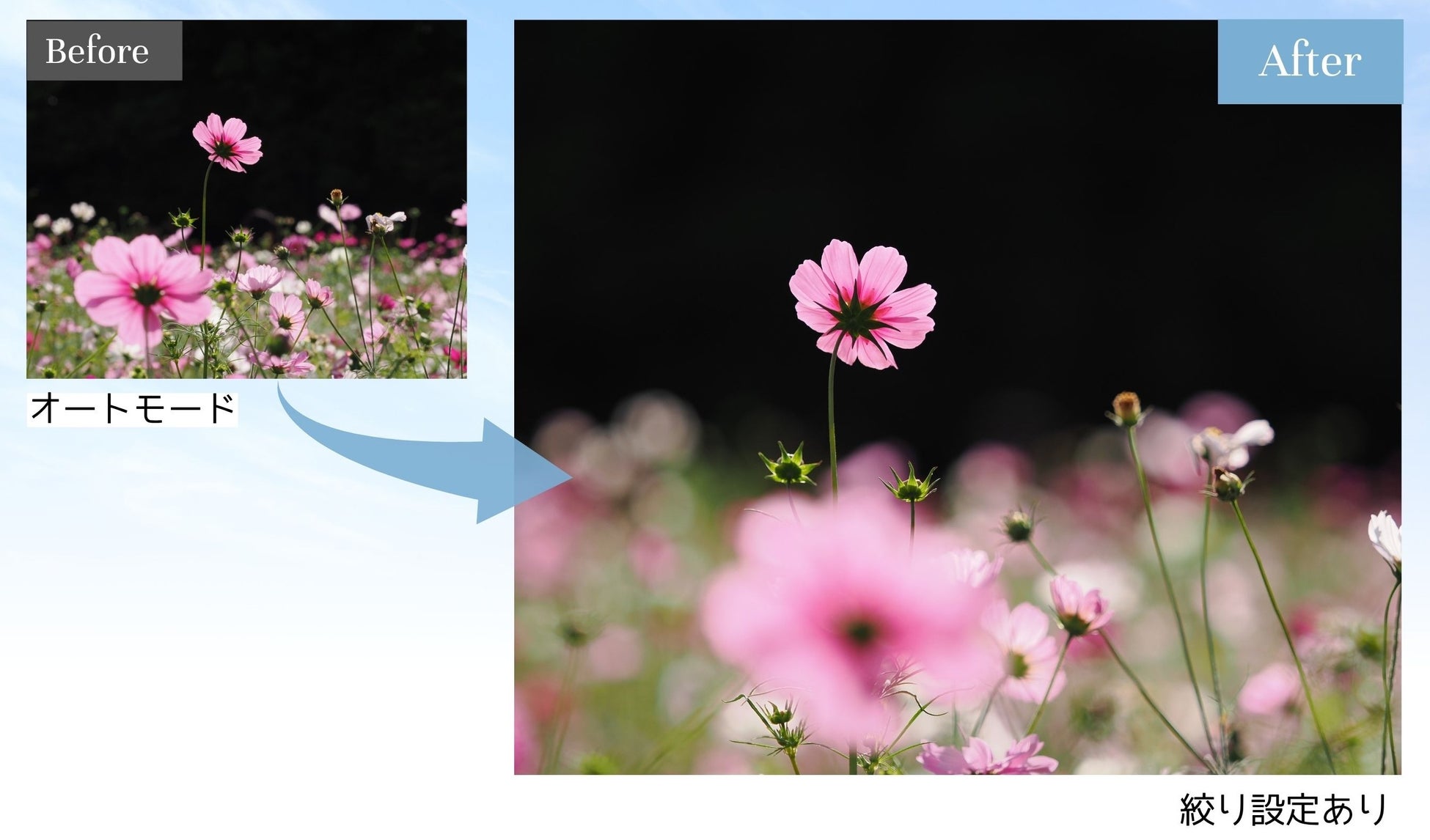 インテル® Core™ i5×NVIDIA® GeForce™RTX5060搭載 コストパフォーマンス重視構成で、ゲーミングPCにお勧め 「MAG Infinite E1 14NVL5-259JP」