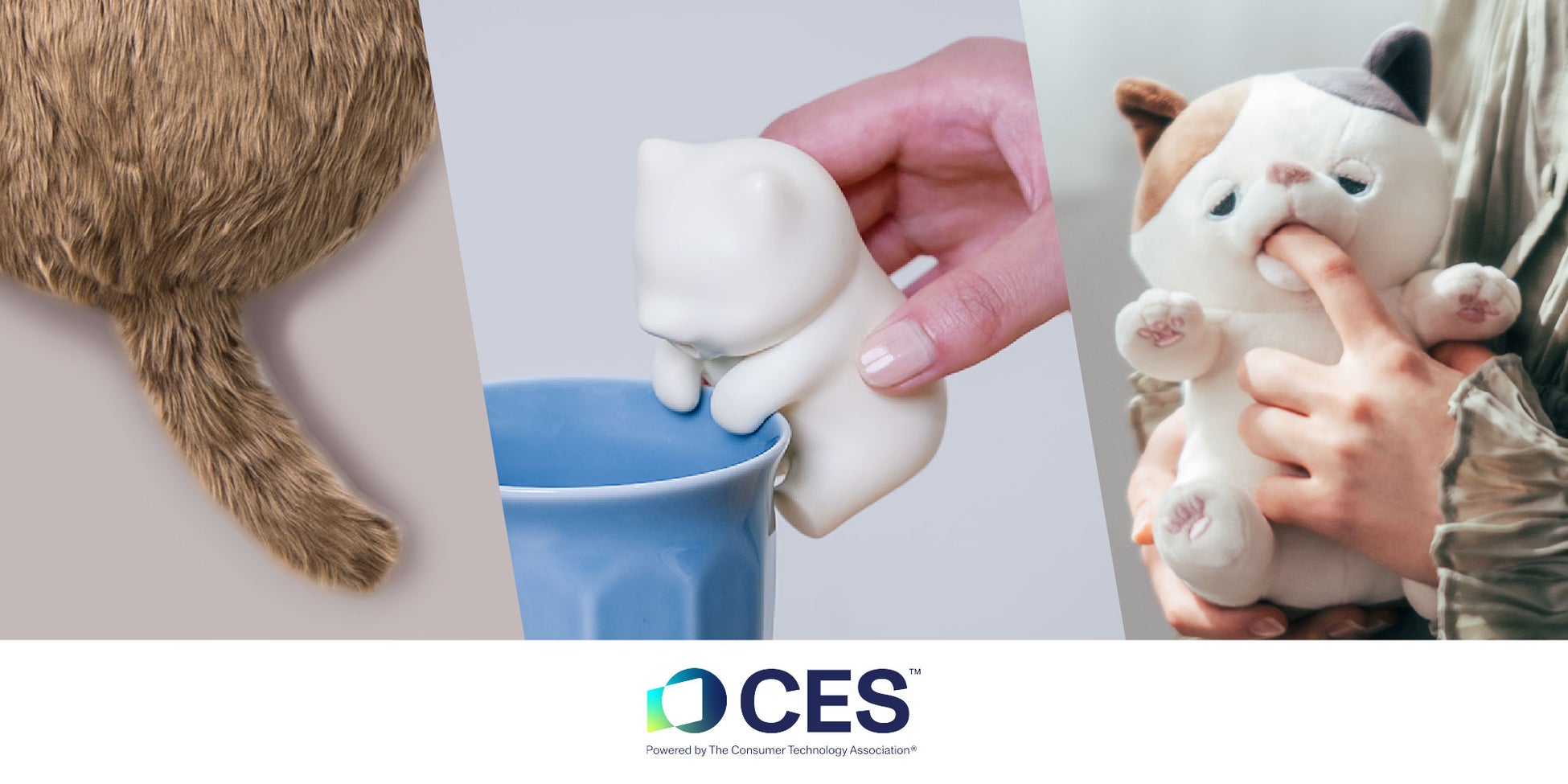 [Bowers & Wilkins イベント情報] 東京・青山のBowers & Wilkins AOYAMAでマンスリーの予約制試聴イベントを実施