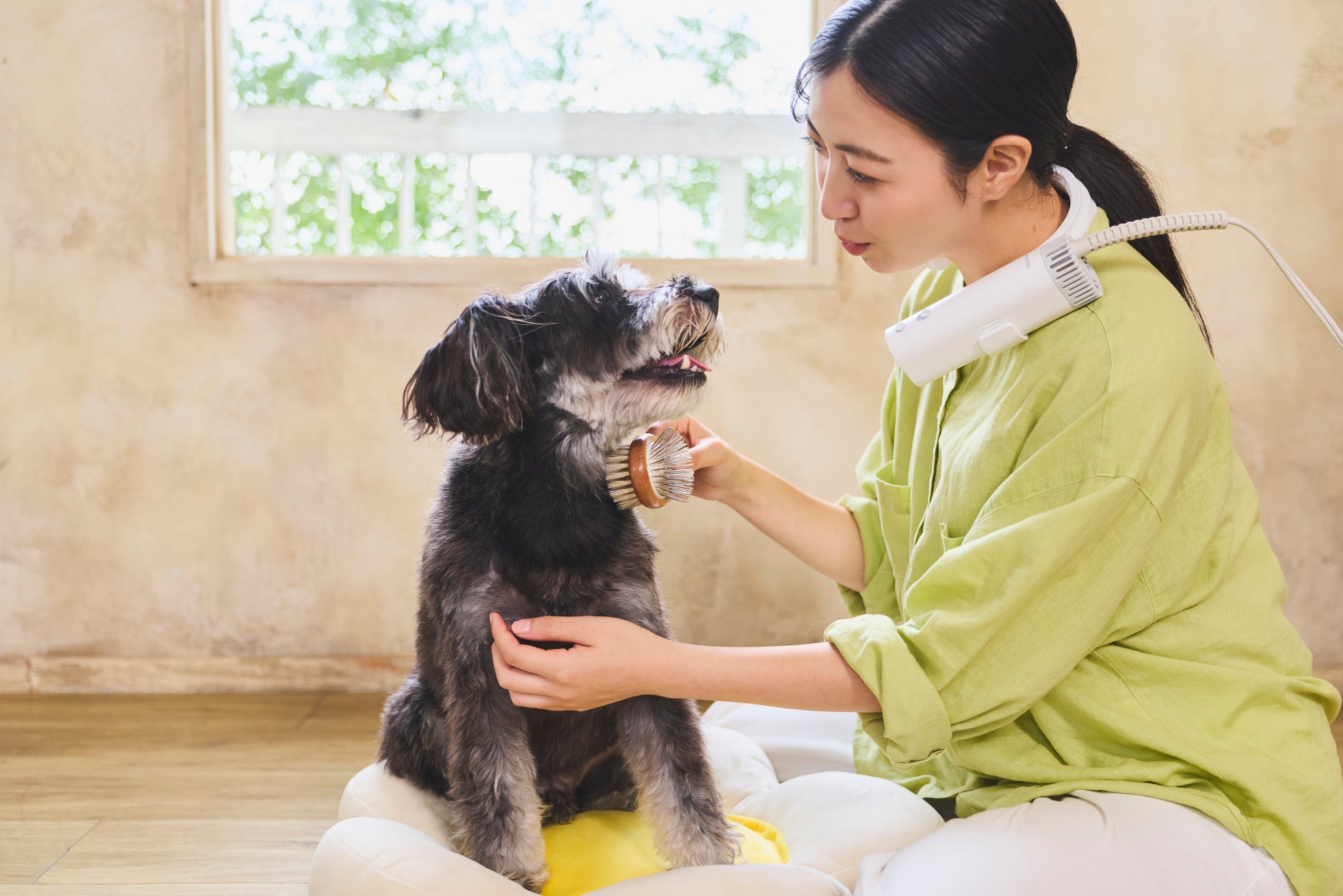 デジタルサイネージプレーヤー『BrightSignシリーズ6』登場