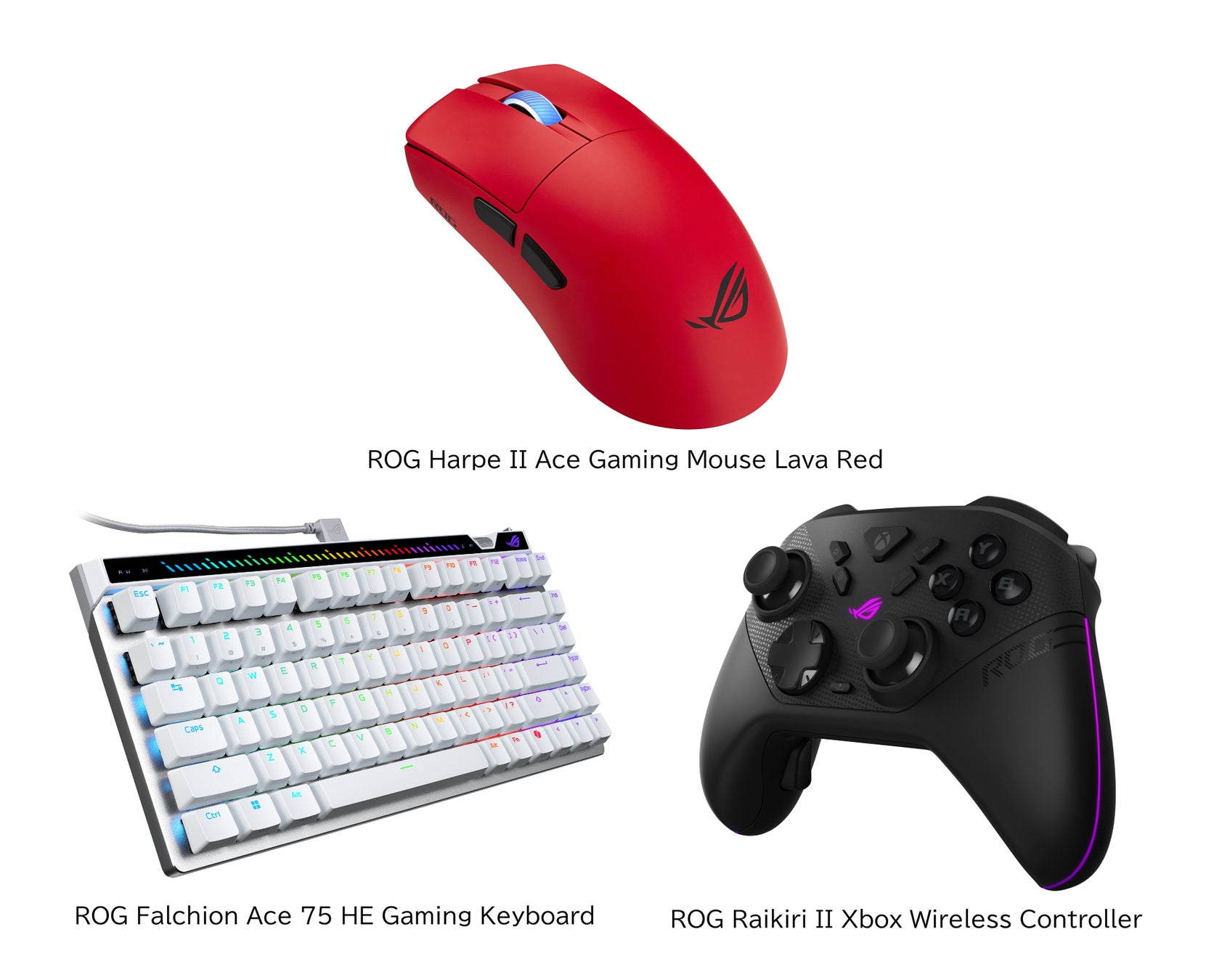 gogh ×『超かぐや姫！』コラボレーション！