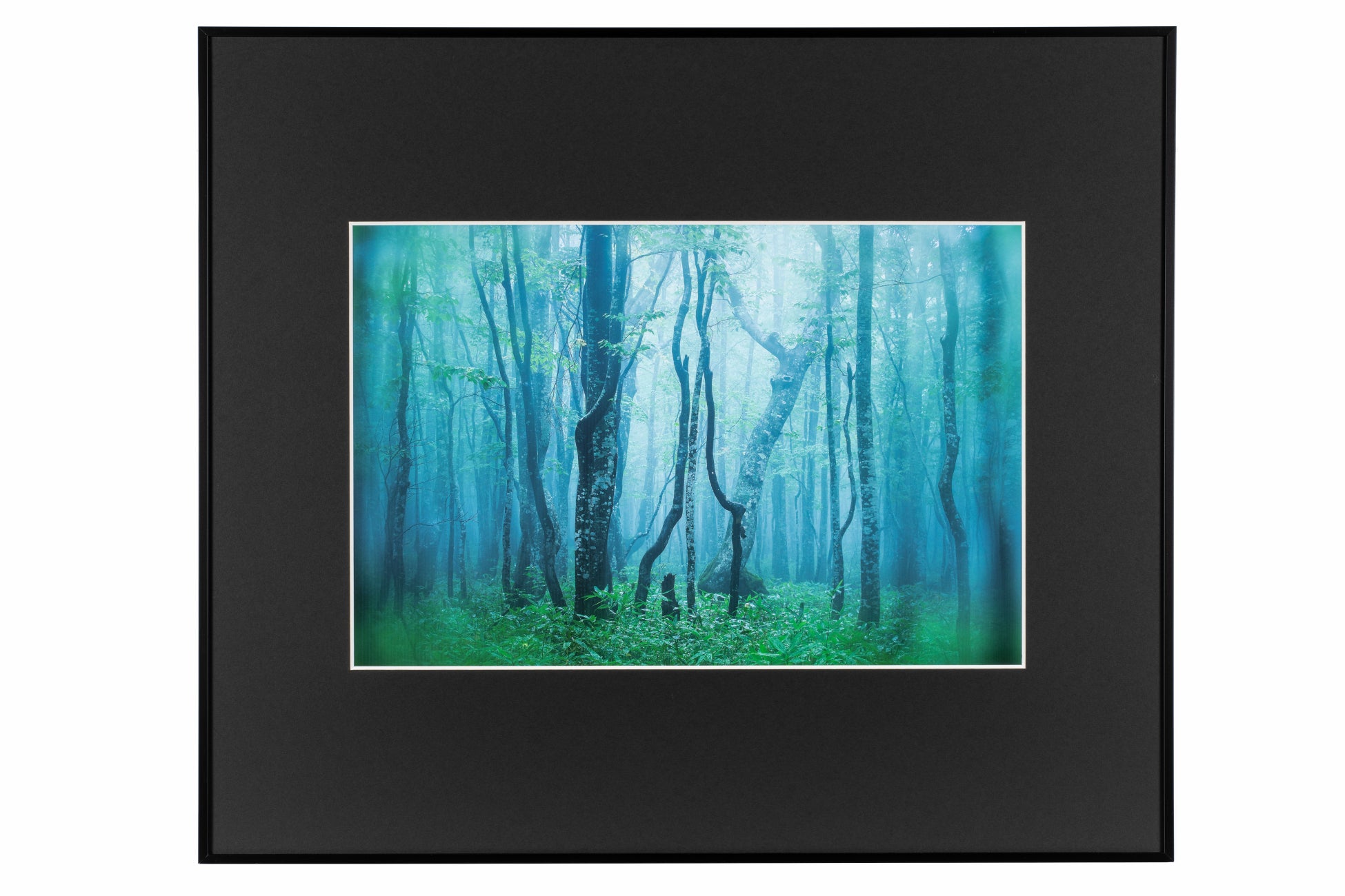 作品を奥深い印象に演出するアルミ額縁〈ギャラリー〉に「A3ノートリミングサイズ」と「ブラック / ホワイト」を追加