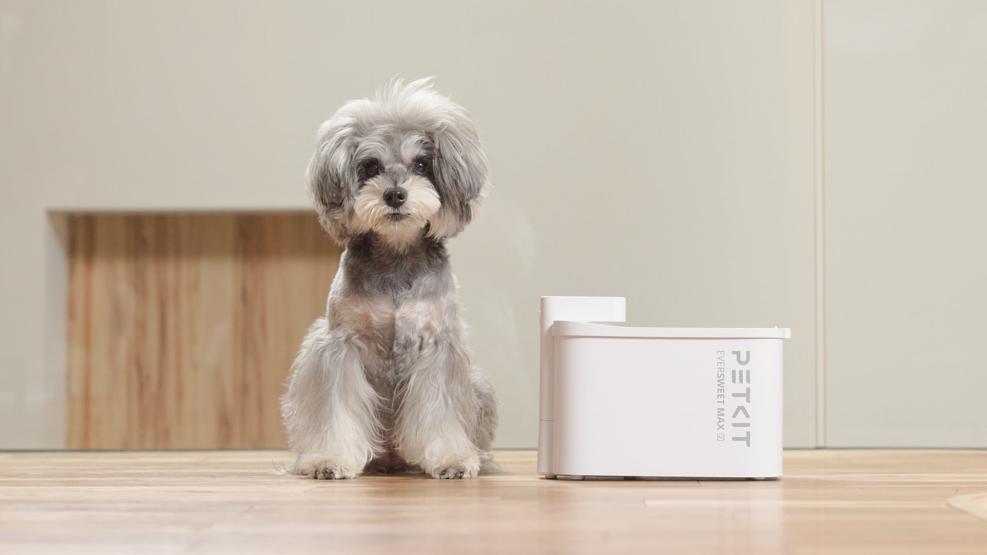 世界で500万人が愛用するペット家電ブランド PETKIT（ペットキット）が、バッテリーで最大83日間稼働するコードレス自動給水機を、日本最大級のペットイベント「インターペット東京」で発売します。