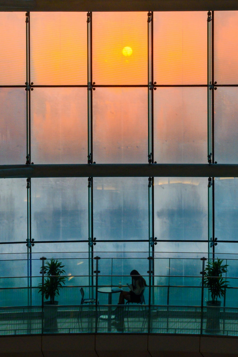 羽田空港フォトコンテスト「YOUR HANEDA STORY 2026」12点の受賞作品が決定！