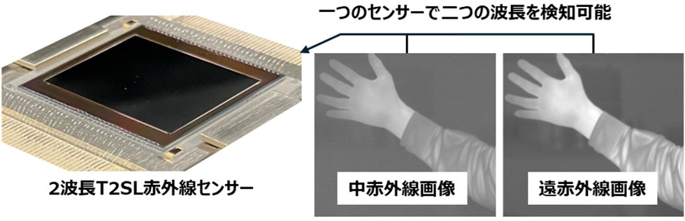 防衛・防災分野の監視能力を拡張する高感度・高精細な2波長赤外線センサーを開発
