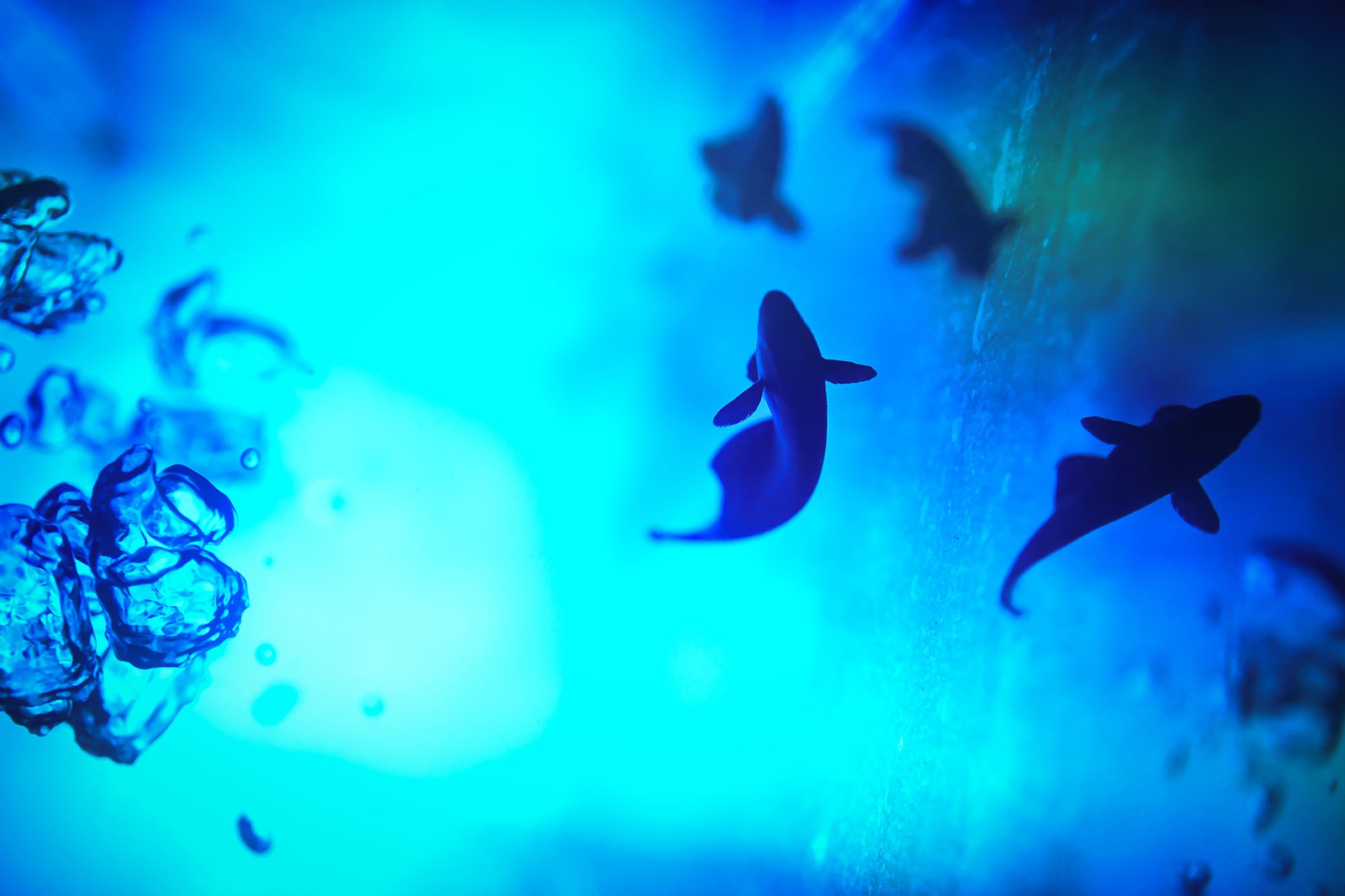 caseplayからTVアニメ 『BLEACH 千年血戦篇』 のスマートフォンケースの追加デザインが15デザイン×160機種以上のラインナップが登場！