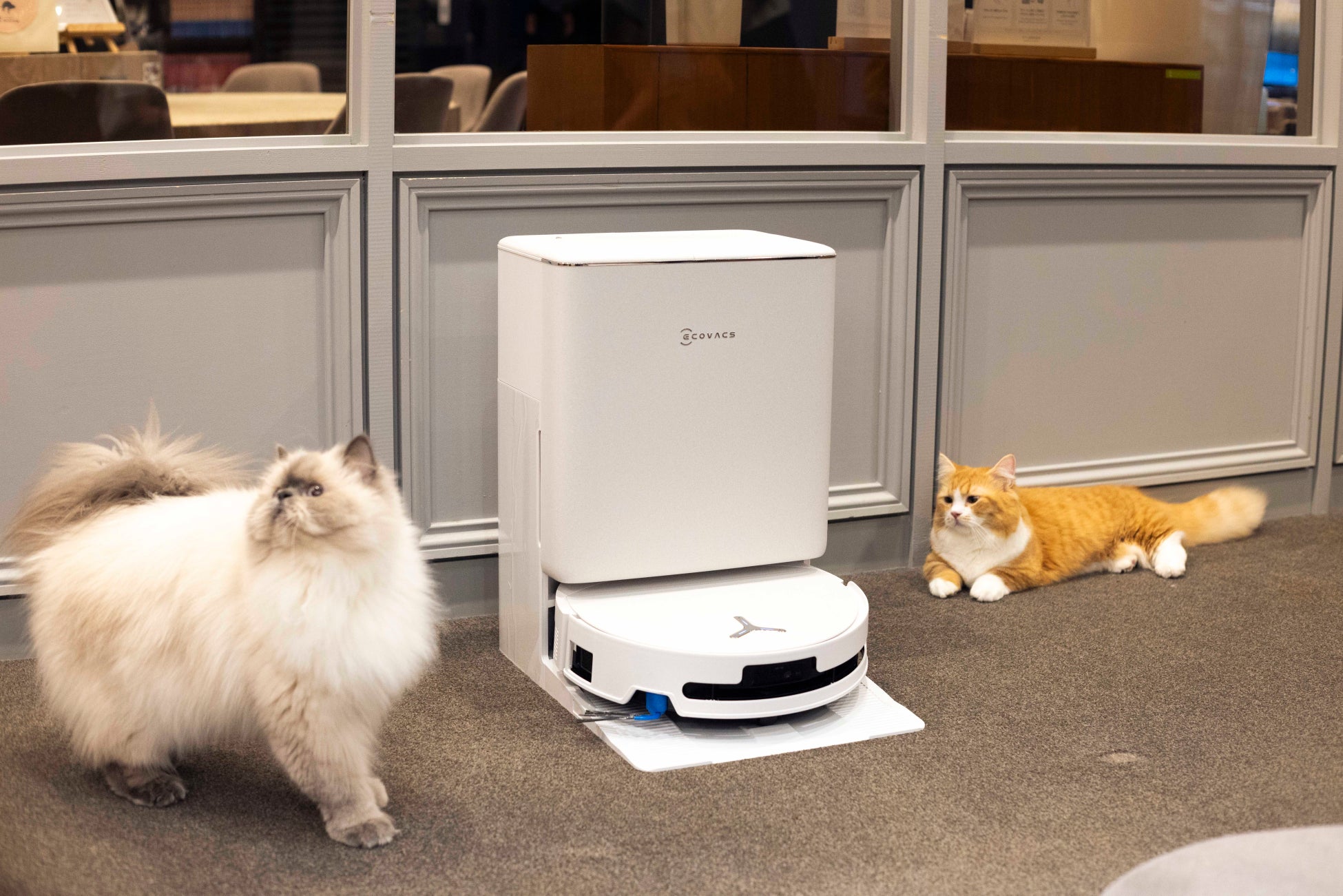 エコバックスが猫カフェ・屋内ドッグランなどペット施設にロボット掃除機「DEEBOT T90 シリーズ」を導入