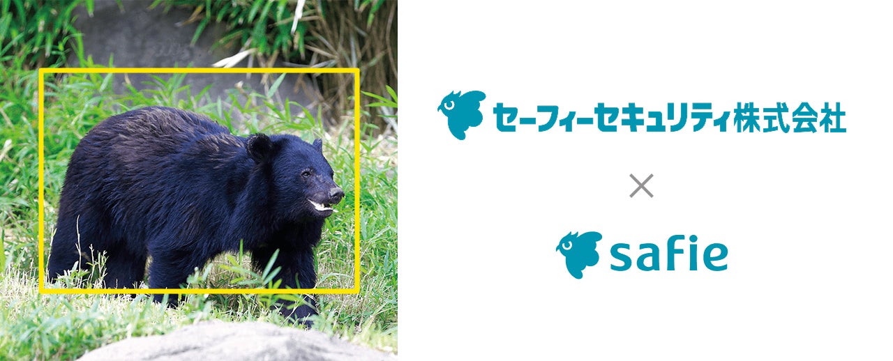 クラウドカメラを活用したクマ検知AI＆みまもり目視サービス提供開始