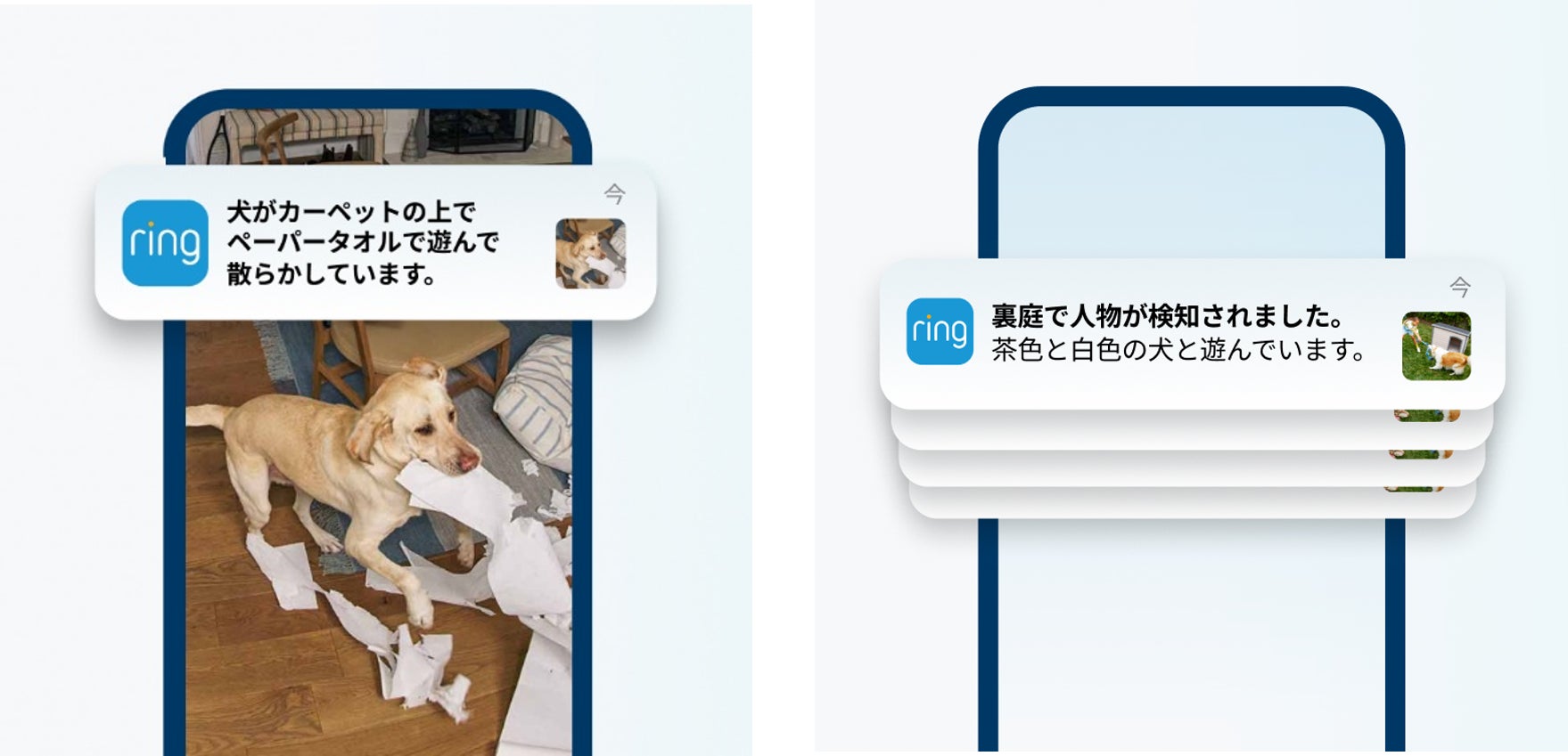 5,000円相当の“国産”旬なおいしい食品を、もれなくプレゼント！　パロマ GRANDキャンペーン　実施のお知らせ